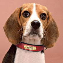 Load image into Gallery viewer, Personalized Leather Dog Collars