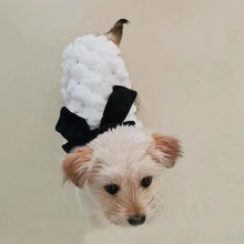 Load image into Gallery viewer, Luxury Elegant Bowknot Dogs Overcoat