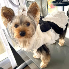Load image into Gallery viewer, Luxury Elegant Bowknot Dogs Overcoat