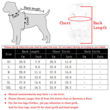 Load image into Gallery viewer, Luxury Elegant Bowknot Dogs Overcoat