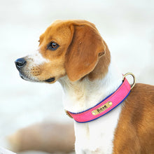Load image into Gallery viewer, Personalized Leather Dog Collars