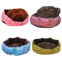 Load image into Gallery viewer, Leopard Colorful Print Bed