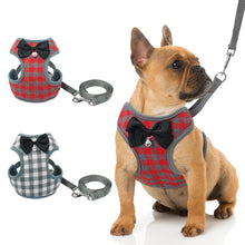 Load image into Gallery viewer, Harness With Mesh Padded Vest