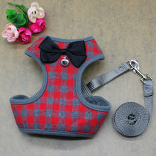 Load image into Gallery viewer, Harness With Mesh Padded Vest