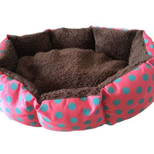 Load image into Gallery viewer, Leopard Colorful Print Bed