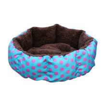 Load image into Gallery viewer, Leopard Colorful Print Bed