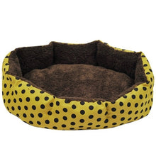 Load image into Gallery viewer, Leopard Colorful Print Bed